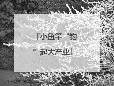 小鱼竿“钓”起大产业