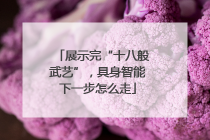 展示完“十八般武艺”，具身智能下一步怎么走