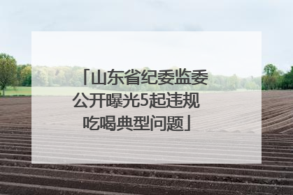 山东省纪委监委公开曝光5起违规吃喝典型问题