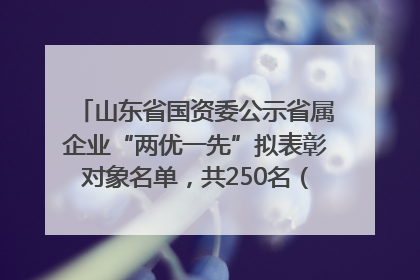 山东省国资委公示省属企业“两优一先”拟表彰对象名单，共250名（个）党员和党组织
