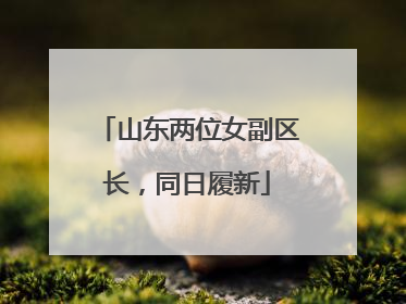 山东两位女副区长，同日履新