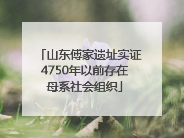 山东傅家遗址实证4750年以前存在母系社会组织