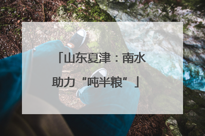 山东夏津：南水助力“吨半粮”