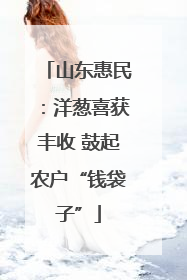 山东惠民：洋葱喜获丰收 鼓起农户“钱袋子”