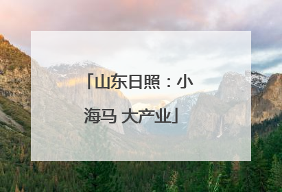 山东日照：小海马 大产业
