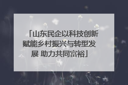 山东民企以科技创新赋能乡村振兴与转型发展 助力共同富裕