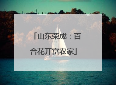山东荣成：百合花开富农家
