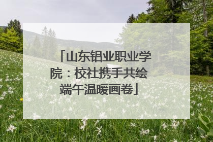 山东铝业职业学院：校社携手共绘端午温暖画卷
