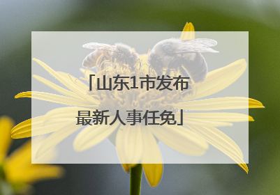 山东1市发布最新人事任免