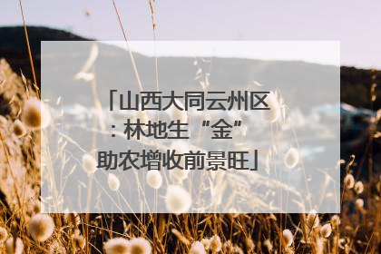 山西大同云州区：林地生“金” 助农增收前景旺