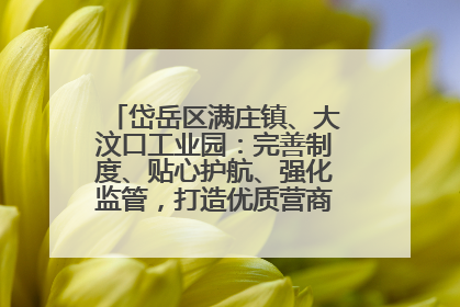 岱岳区满庄镇、大汶口工业园：完善制度、贴心护航、强化监管，打造优质营商“强磁场”