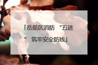 岳麓区消防 “五进” 筑牢安全防线