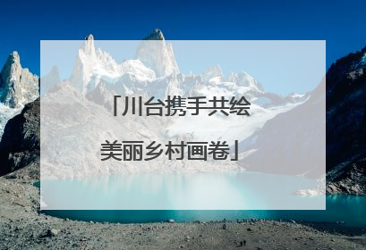 川台携手共绘美丽乡村画卷
