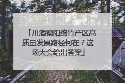 川酒德阳绵竹产区高质量发展路径何在？这场大会给出答案