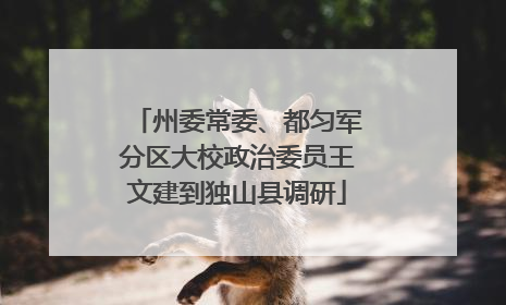 州委常委、都匀军分区大校政治委员王文建到独山县调研