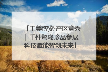 工美博览·产区竞秀｜千件鹭岛珍品参展 科技赋能智创未来
