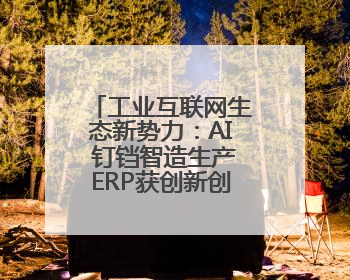 工业互联网生态新势力：AI 钉铛智造生产ERP获创新创业大赛优胜奖