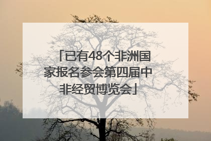 已有48个非洲国家报名参会第四届中非经贸博览会