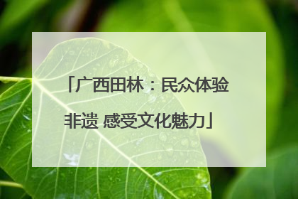 广西田林：民众体验非遗 感受文化魅力
