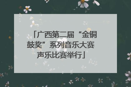广西第二届“金铜鼓奖”系列音乐大赛声乐比赛举行
