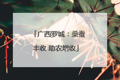 广西罗城：桑蚕丰收 助农增收
