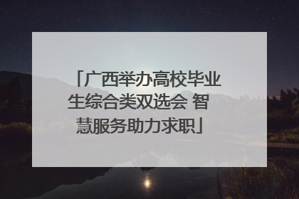 广西举办高校毕业生综合类双选会 智慧服务助力求职