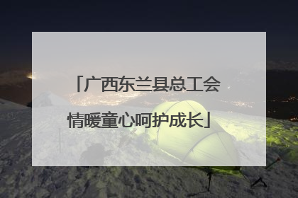 广西东兰县总工会情暖童心呵护成长