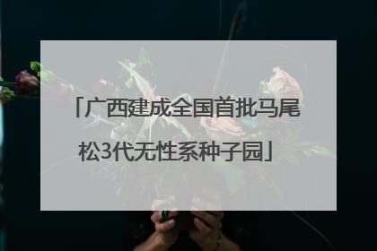 广西建成全国首批马尾松3代无性系种子园
