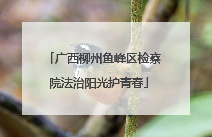 广西柳州鱼峰区检察院法治阳光护青春