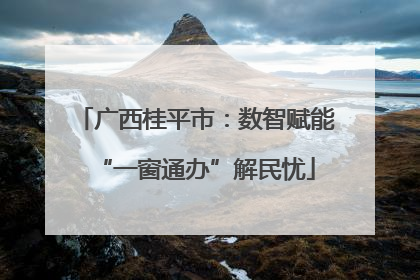 广西桂平市：数智赋能“一窗通办”解民忧