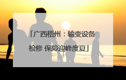 广西梧州：输变设备检修 保障迎峰度夏