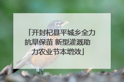 开封杞县平城乡全力抗旱保苗 新型灌溉助力农业节本增效