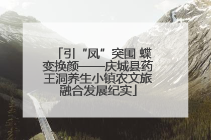 引“凤”突围 蝶变换颜——庆城县药王洞养生小镇农文旅融合发展纪实