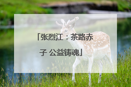 张烈江：茶路赤子 公益铸魂