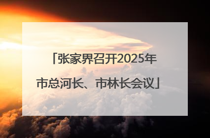 张家界召开2025年市总河长、市林长会议