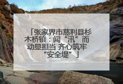 张家界市慈利县杉木桥镇：闻“汛”而动显担当 齐心筑牢“安全堤”