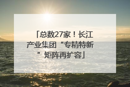总数27家！长江产业集团“专精特新”矩阵再扩容