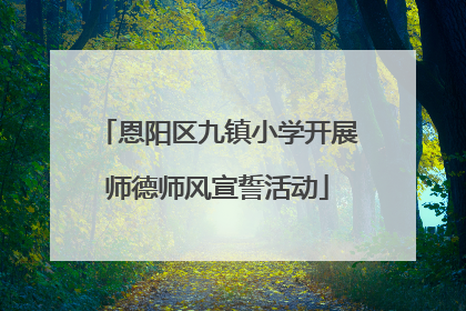 恩阳区九镇小学开展师德师风宣誓活动