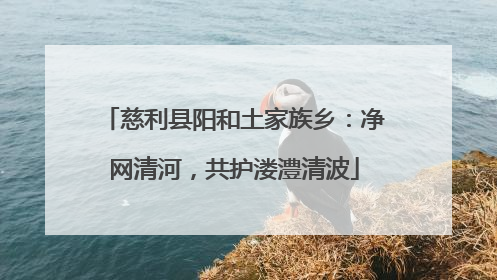 慈利县阳和土家族乡：净网清河，共护溇澧清波