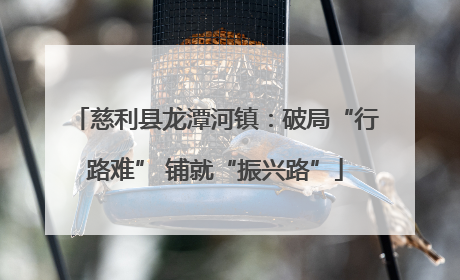 慈利县龙潭河镇：破局“行路难” 铺就“振兴路”