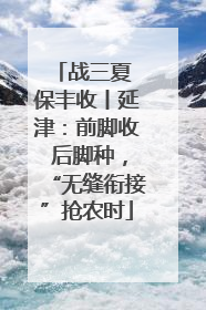 战三夏 保丰收丨延津：前脚收 后脚种，“无缝衔接”抢农时