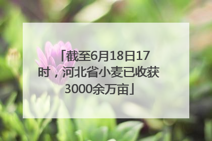 截至6月18日17时，河北省小麦已收获3000余万亩