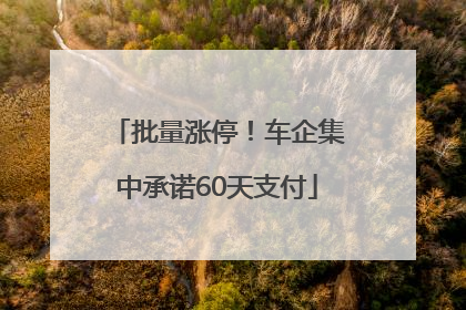 批量涨停！车企集中承诺60天支付