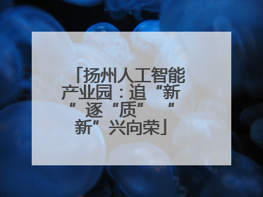 扬州人工智能产业园：追“新”逐“质” “新”兴向荣