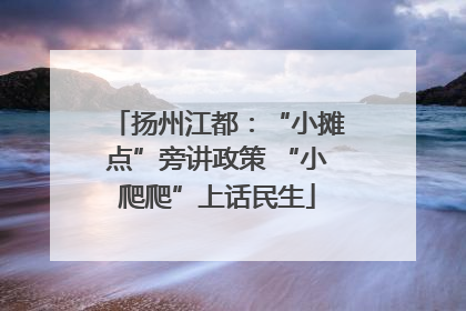 扬州江都：“小摊点”旁讲政策 “小爬爬”上话民生