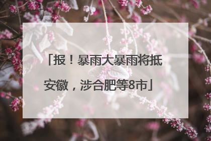 报！暴雨大暴雨将抵安徽，涉合肥等8市