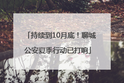 持续到10月底！聊城公安夏季行动已打响