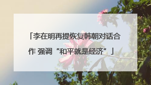 李在明再提恢复韩朝对话合作 强调“和平就是经济”