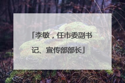 李敏，任市委副书记、宣传部部长