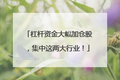 杠杆资金大幅加仓股，集中这两大行业！
